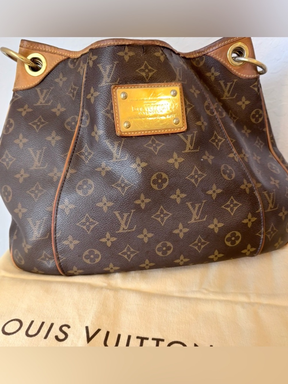 Louis Vuitton Galliera PM Bag
